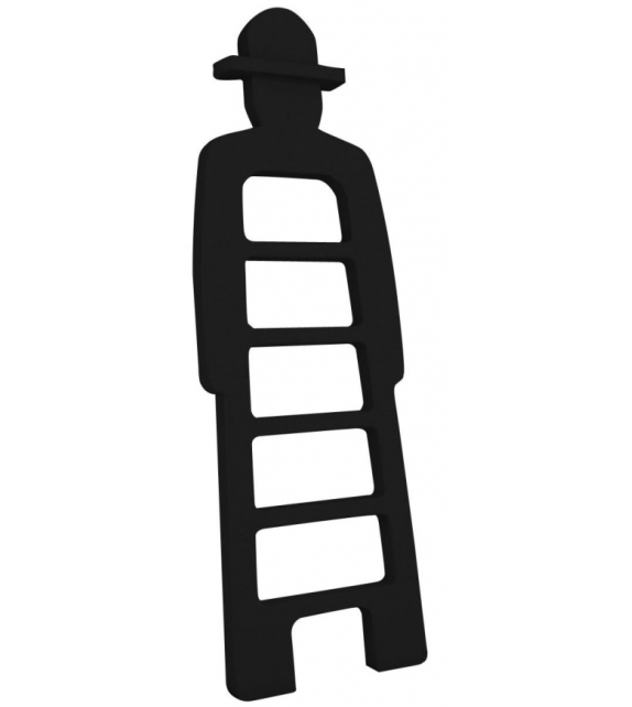 Mr Giò Slide Ladder